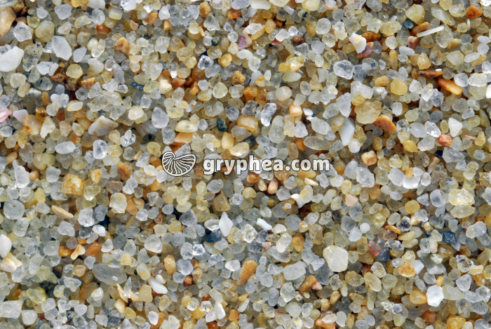 Sable quartzeux - Plage de La Baule (Loire Atlantique) x2 - gryphea.org